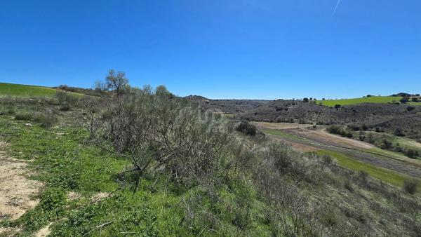 Terreno en camino de la Fuente, 10