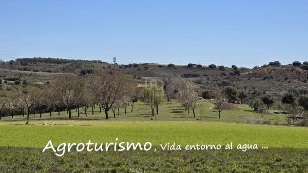 Terreno en camino de la Fuente, 10