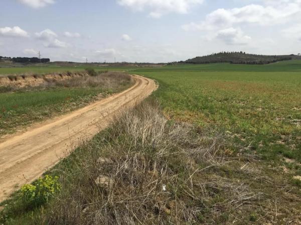 Terreno en calle Valdelayegua