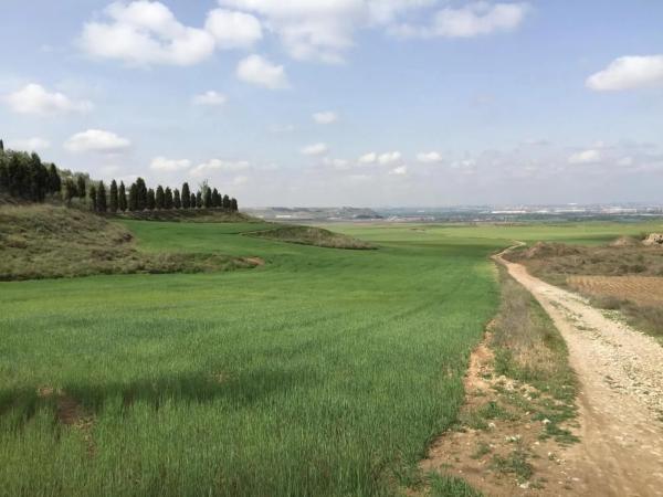 Terreno en calle Valdelayegua