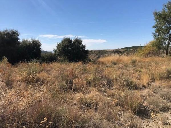 Terreno en Villalbilla