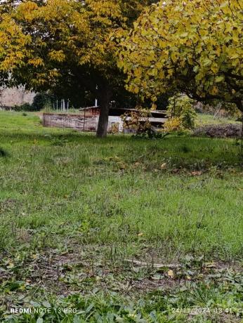 Terreno en Tortola, 8