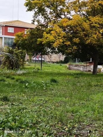 Terreno en Tortola, 8