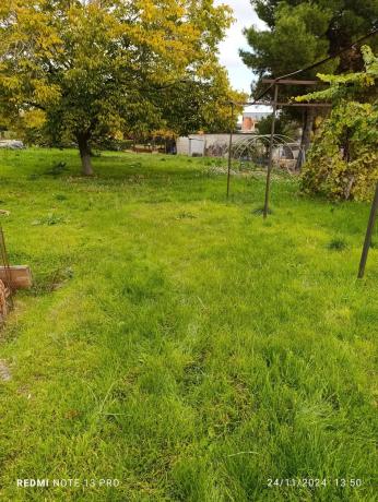 Terreno en calle Tórtola, 6