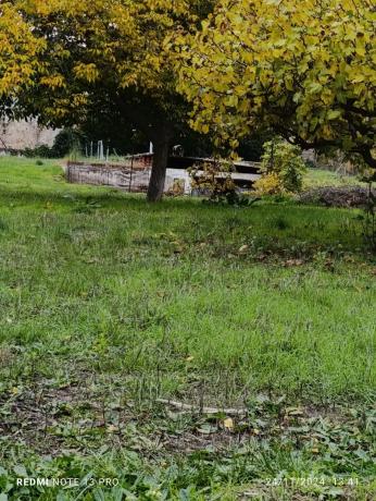 Terreno en calle Tórtola, 6