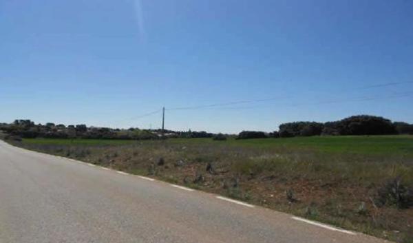 Terreno en camino de Alcalá, 1