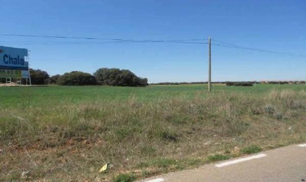 Terreno en camino de Alcalá, 1