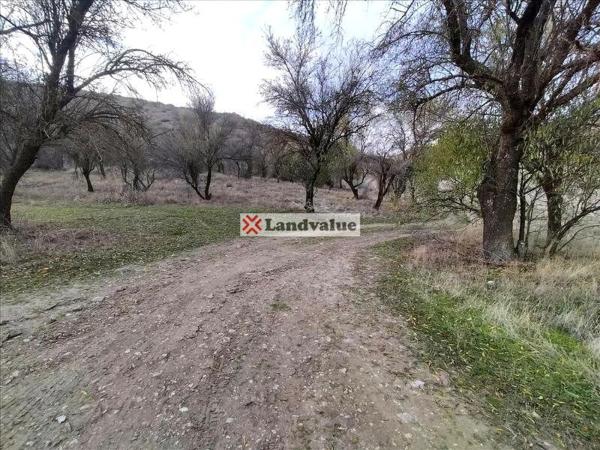 Terreno en calle Hípica