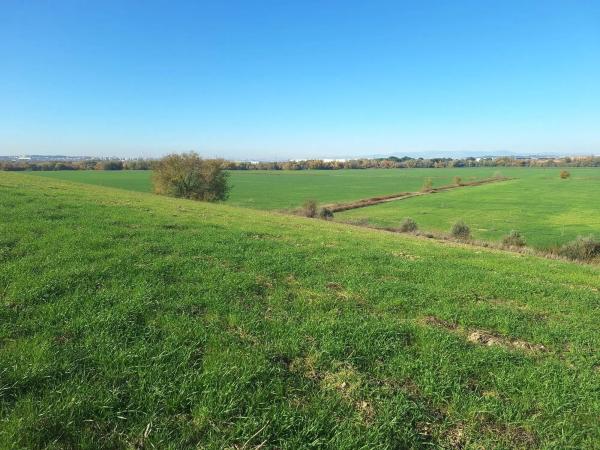 Terreno en Parque Henares