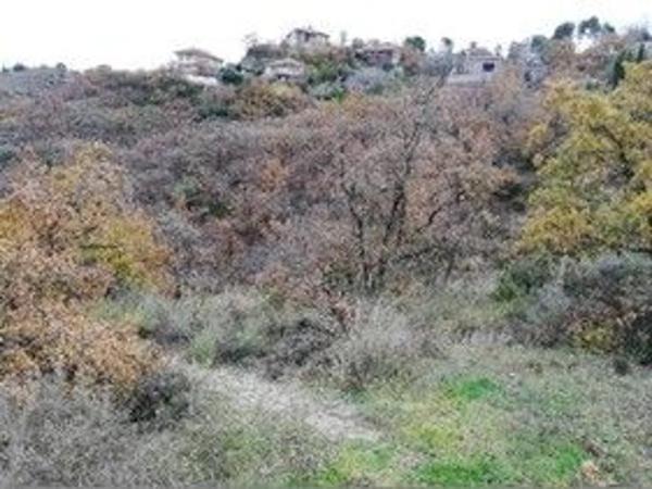 Terreno en calle Madreselva