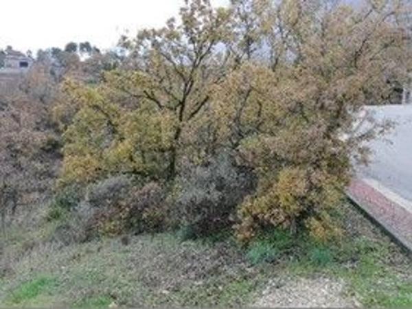 Terreno en calle Madreselva