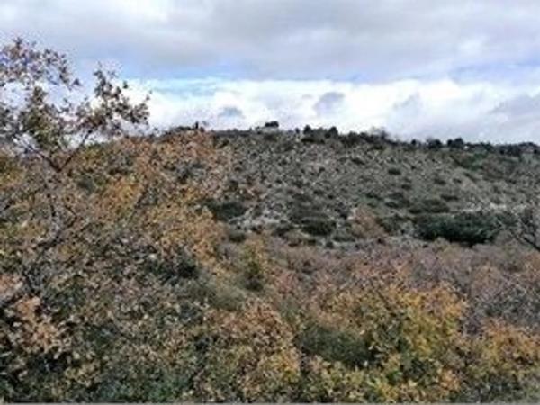 Terreno en calle Madreselva