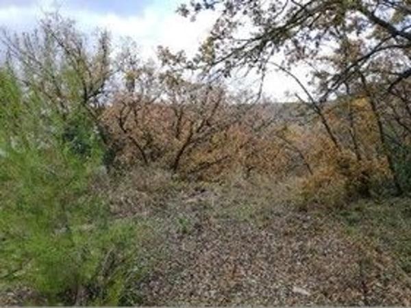 Terreno en calle Madreselva