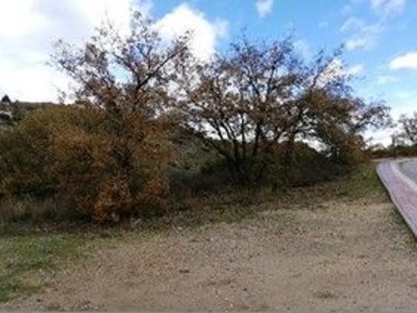 Terreno en calle Madreselva