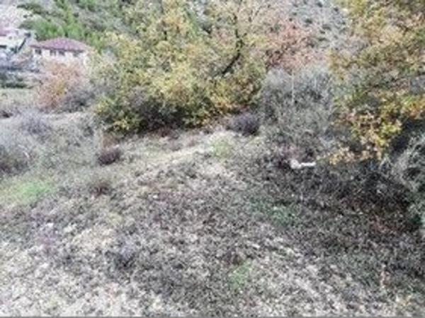 Terreno en calle Madreselva