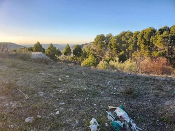 Terreno en calle Pinar de Abantos