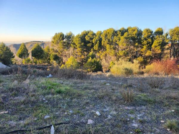 Terreno en calle Pinar de Abantos