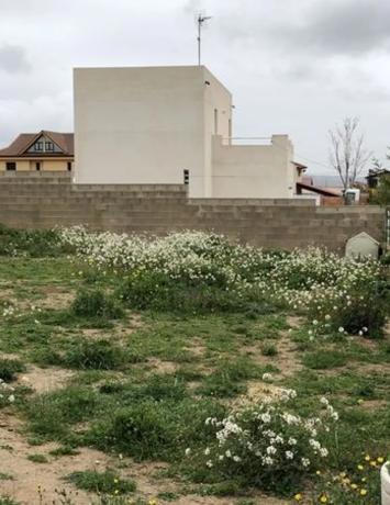 Terreno en calle serradiel s/n