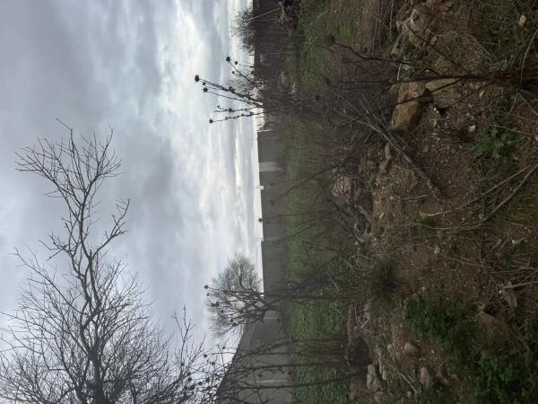 Terreno en camino Valdecelada s/n