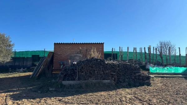 Terreno en calle Jilguero, 7