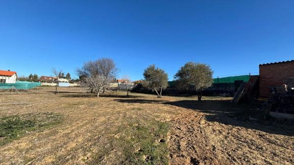 Terreno en calle Jilguero, 7