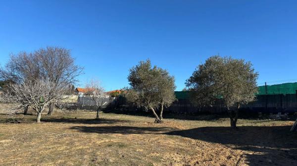 Terreno en calle Jilguero, 7