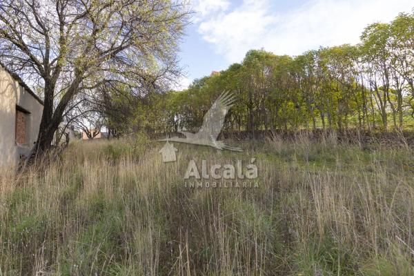 Terreno en Camarma de Esteruelas