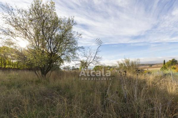 Terreno en Camarma de Esteruelas