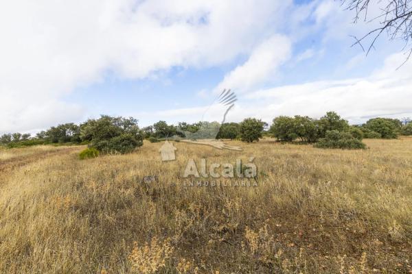 Terreno en Villalbilla