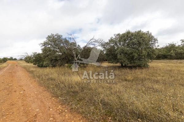 Terreno en Villalbilla