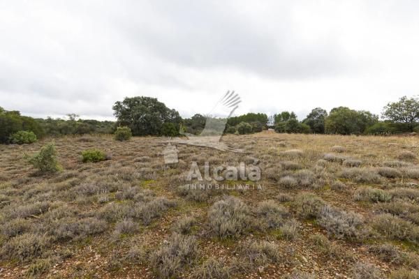 Terreno en Villalbilla