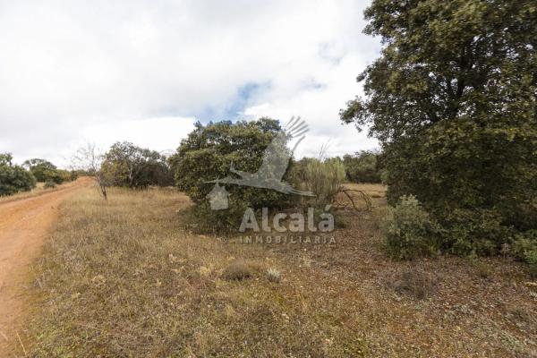Terreno en Villalbilla
