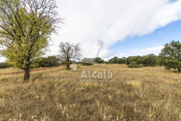 Terreno en Villalbilla