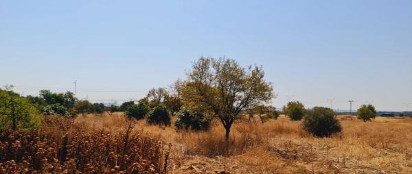 Terreno en carretera Ajalvir Centro Comercial s/n
