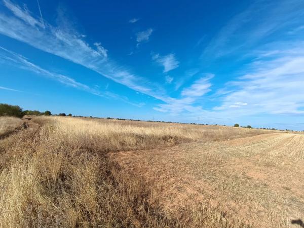 Terreno en camino de Guadalajara s/n sn