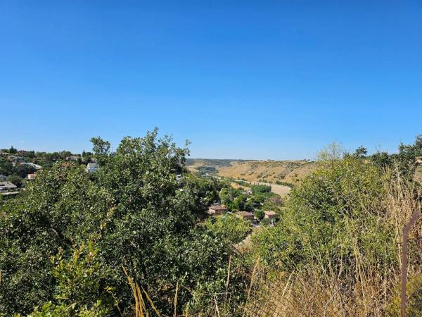 Terreno en calle Tomillo, 61