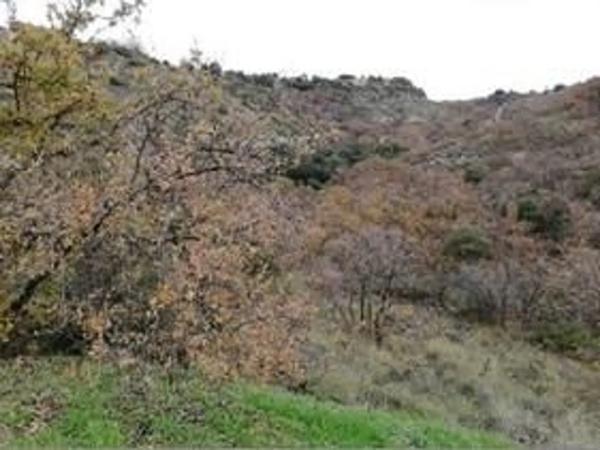 Terreno en calle Fresno