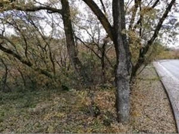 Terreno en calle Fresno