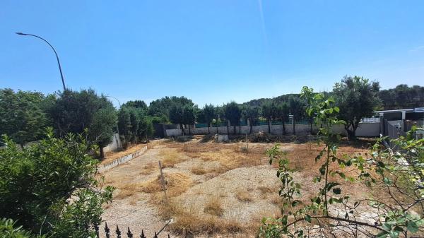 Terreno en carretera de Camarma, 27