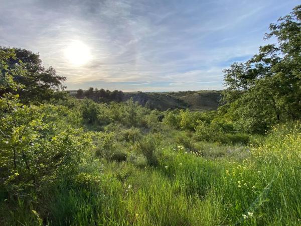 Terreno en Villalbilla