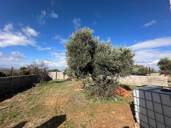 Terreno en El Balcon, 4