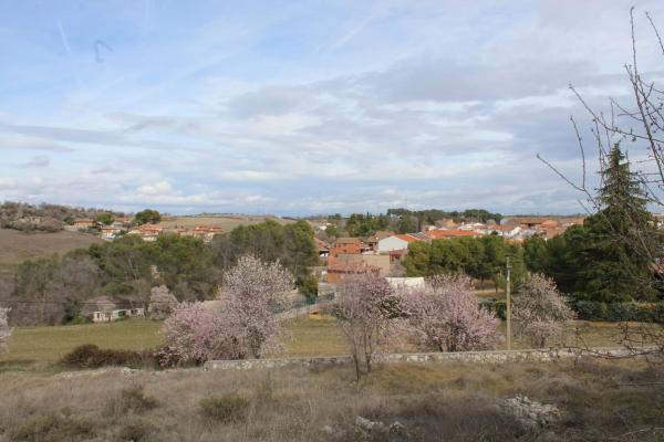 Terreno en sitio tras de las torres