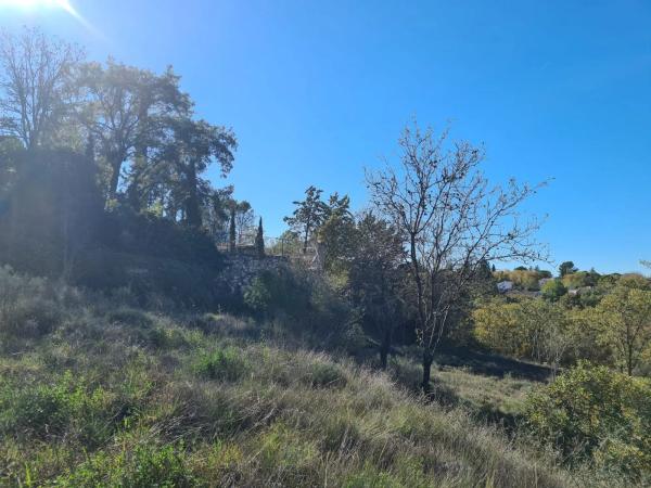 Terreno en calle Mirto, 8