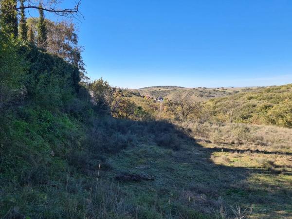 Terreno en calle Mirto, 8