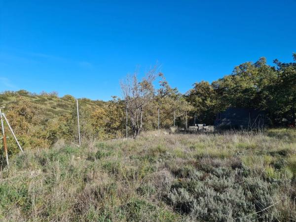 Terreno en calle Mirto, 8