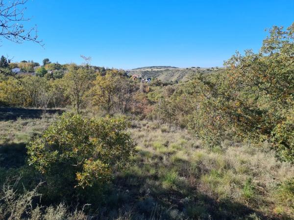 Terreno en calle Mirto, 8