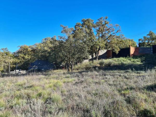 Terreno en calle Mirto, 8