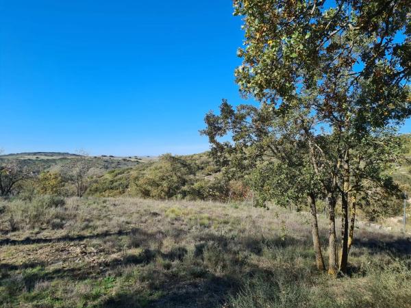 Terreno en calle Mirto, 8