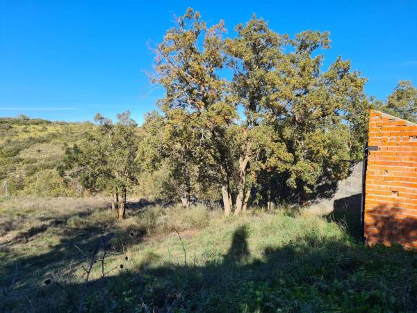 Terreno en calle Mirto, 8