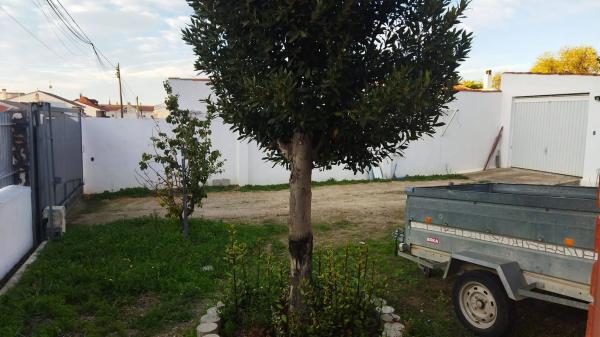 Terreno en calle de los Cedros s/n